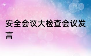 安全會(huì)議大檢查會(huì)議發(fā)言