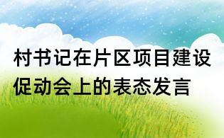 村書記在片區項目建設促動會上的表態發言