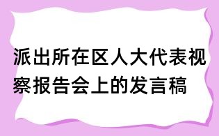 派出所在區人大代表視察報告會上的發言稿