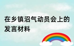 在鄉鎮沼氣動員會上的發言材料