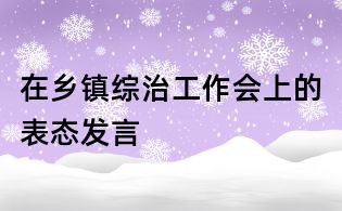 在鄉(xiāng)鎮(zhèn)綜治工作會上的表態(tài)發(fā)言
