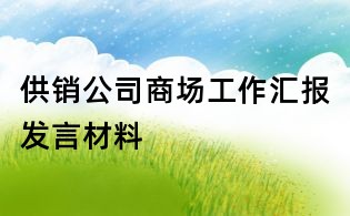 供銷公司商場工作匯報發言材料