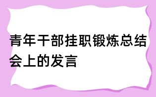 青年干部掛職鍛煉總結(jié)會上的發(fā)言