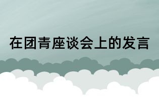 在團(tuán)青座談會(huì)上的發(fā)言