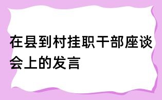 在縣到村掛職干部座談會上的發(fā)言