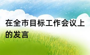 在全市目標工作會議上的發言