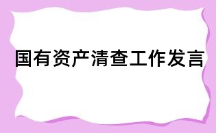國有資產清查工作發言