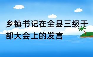 鄉(xiāng)鎮(zhèn)書記在全縣三級干部大會上的發(fā)言