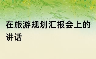 在旅游規劃匯報會上的講話