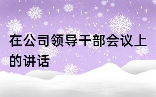 在公司領導干部會議上的講話