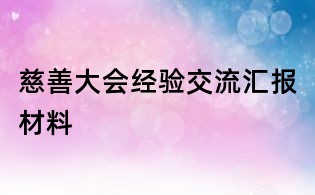 慈善大會經驗交流匯報材料