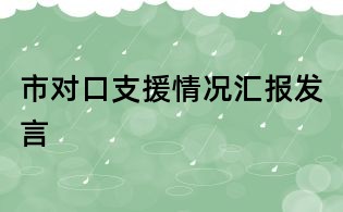 市對口支援情況匯報發(fā)言