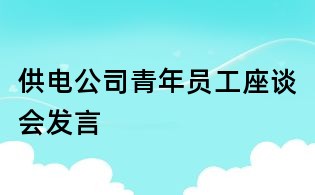 供電公司青年員工座談會發言