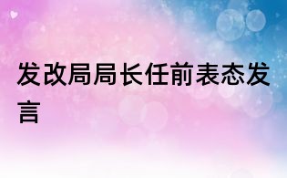 發改局局長任前表態發言