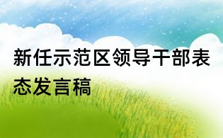 新任示范區領導干部表態發言稿