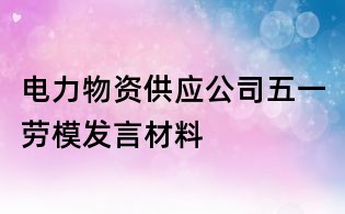 電力物資供應(yīng)公司五一勞模發(fā)言材料
