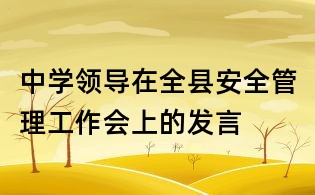中學領導在全縣安全管理工作會上的發言