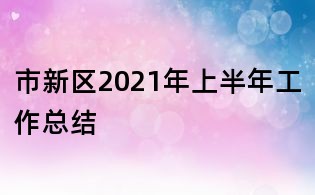 市新區(qū)2021年上半年工作總結(jié)