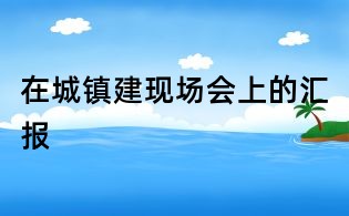 在城鎮建現場會上的匯報