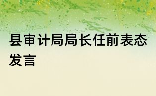 縣審計局局長任前表態發言