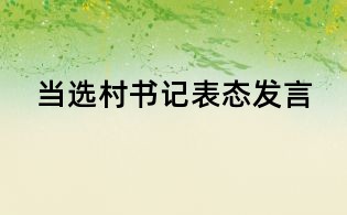 當選村書記表態發言