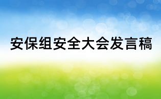 安保組安全大會(huì)發(fā)言稿