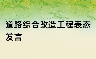 道路綜合改造工程表態發言