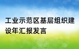 工業示范區基層組織建設年匯報發言