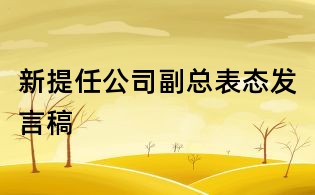 新提任公司副總表態(tài)發(fā)言稿