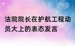法院院長在護航工程動員大上的表態發言