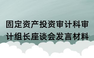 固定資產(chǎn)投資審計科審計組長座談會發(fā)言材料