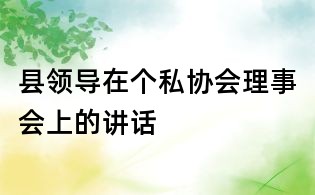 縣領導在個私協會理事會上的講話