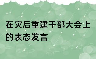 在災后重建干部大會上的表態(tài)發(fā)言