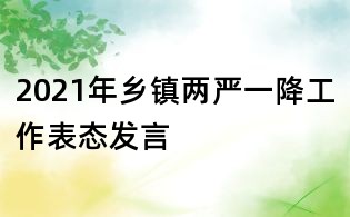 2021年鄉鎮兩嚴一降工作表態發言