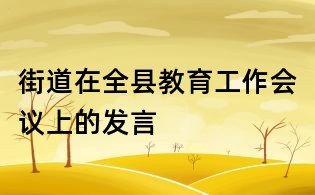 街道在全縣教育工作會議上的發言