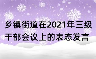 鄉鎮街道在2021年三級干部會議上的表態發言