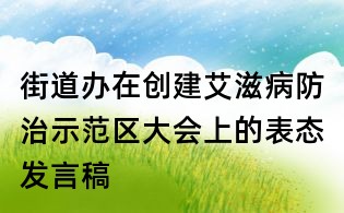 街道辦在創建艾滋病防治示范區大會上的表態發言稿