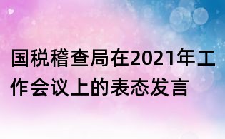 國稅稽查局在2021年工作會議上的表態發言