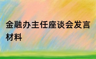 金融辦主任座談會發言材料