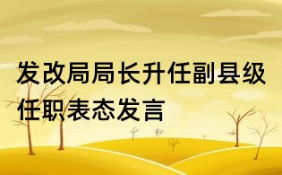 發改局局長升任副縣級任職表態發言