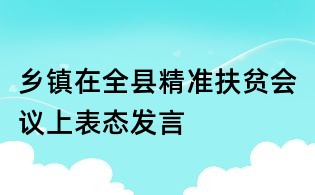 鄉鎮在全縣精準扶貧會議上表態發言