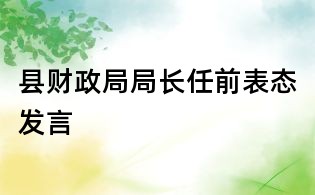 縣財政局局長任前表態發言