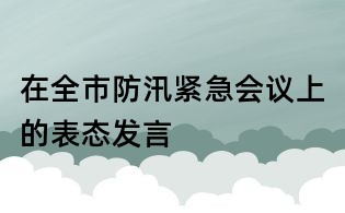 在全市防汛緊急會議上的表態(tài)發(fā)言