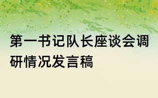 第一書記隊長座談會調研情況發言稿