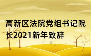 高新區法院黨組書記院長2021新年致辭