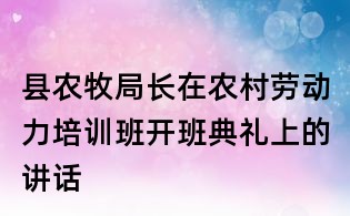縣農牧局長在農村勞動力培訓班開班典禮上的講話