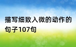 描寫細(xì)致入微的動作的句子107句