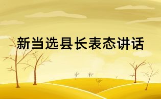 新當選縣長表態講話