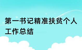 第一書(shū)記精準(zhǔn)扶貧個(gè)人工作總結(jié)