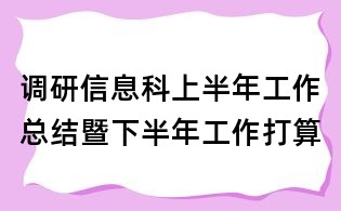 調研信息科上半年工作總結暨下半年工作打算